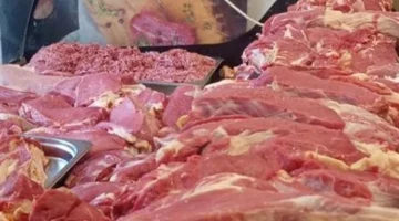 توقعات أسعار اللحوم في الأسواق المحلية قبيل حلول شهر رمضان المبارك بموسم 2026